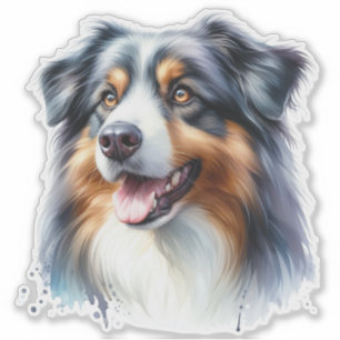 Tri-Colored Australian Shepherd Dog Aufkleber