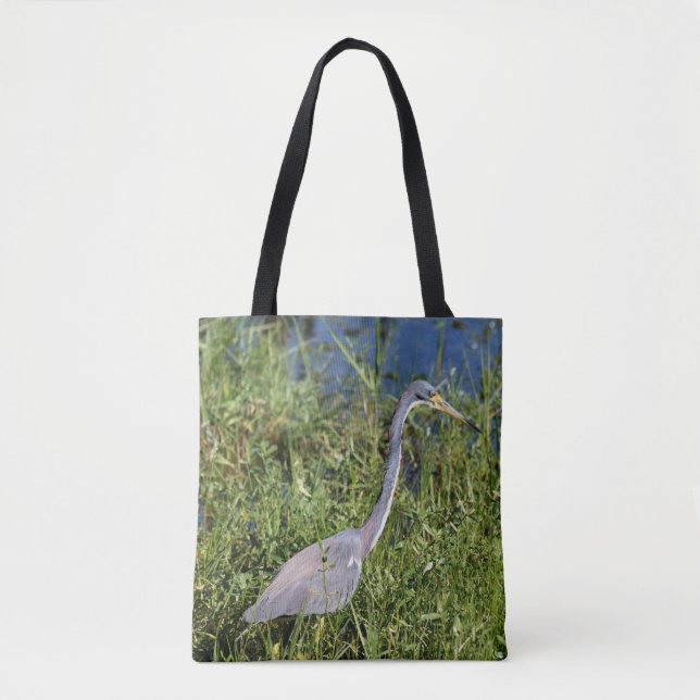 Tri-Colored Heron (Vorderseite)
