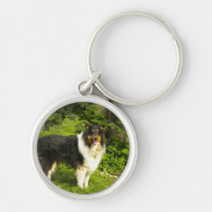Tri Farbcollie Schlüsselanhänger