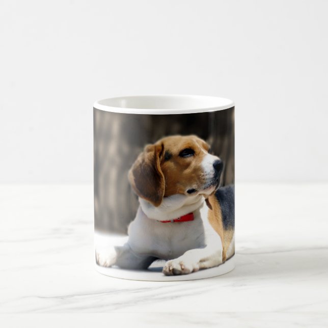 Tri FarbeBeagle Kaffeetasse (Mittel)