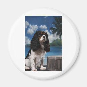 Tri Farbeunbekümmerter Königcharles Spaniel Magnet
