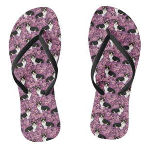 Tri farbige Corgi-Kirschblüten - lila Flip Flops