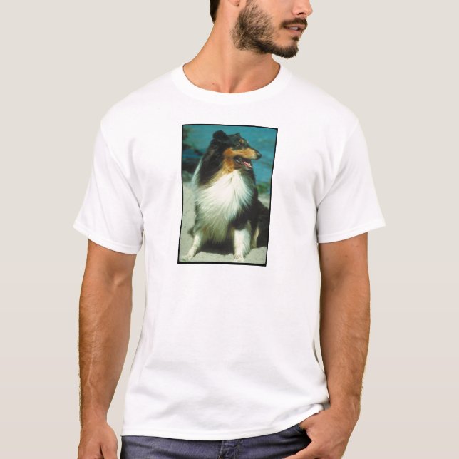 Tri Farbiger Collie-rauer Mantel T-Shirt (Vorderseite)