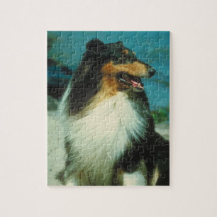 Tri Farbiges Collie-Hundepuzzlespiel Puzzle