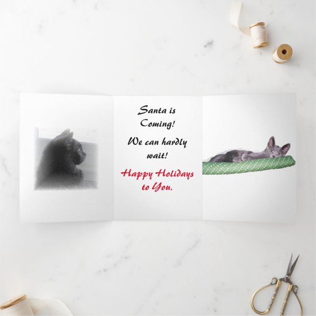 Tri-Fold-Karte - Weihnachtsaufregung Dreifach Gefaltete Urlaubskarte (Innenseite)