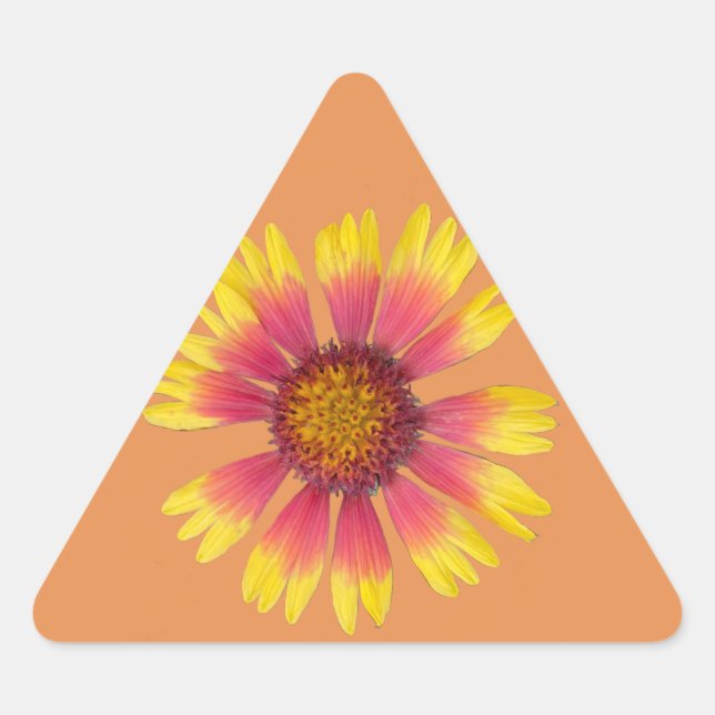 Triangle Indian Blanket Sticker (Vorderseite)