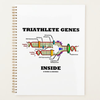 Triathleete Gene in der DNA-Replikation Planer