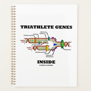 Triathlet-Gene in der DNA-Replikation Planer