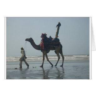 Tribal Camel Ride: Morgengrauen mit Sandstrand und
