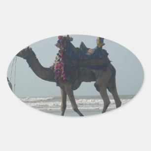Tribal Camel Ride: Morgengrauen mit Sandstrand und Ovaler Aufkleber