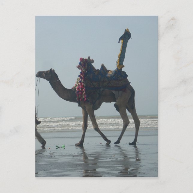 Tribal Camel Ride: Morgengrauen mit Sandstrand und Postkarte (Vorderseite)