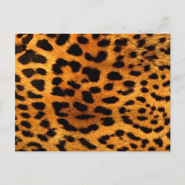 Tribal fashionista safari Animal Leopard Druck Postkarte (Vorderseite)