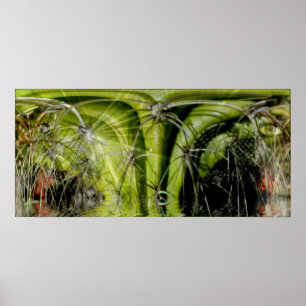 Tribal Medicinal Poster