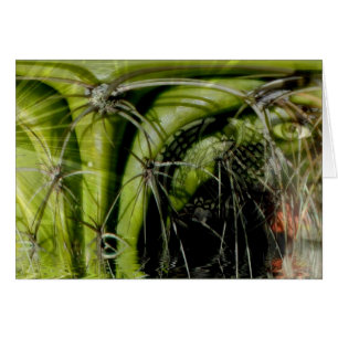 Tribal Medicine Card