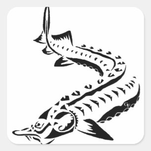 Tribal Sturgeon - Huso Beluga Quadratischer Aufkleber