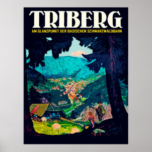Triberg im Schwarzwald, Blick aus dem Schwarzwald Poster
