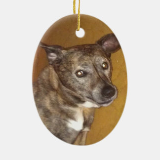 Tribut-Verzierung #6 Roberts Hoynes Keramik Ornament