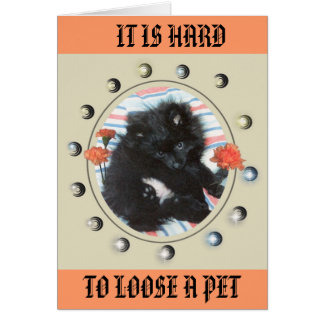 TRIBUT ZU MEINEM MINDY