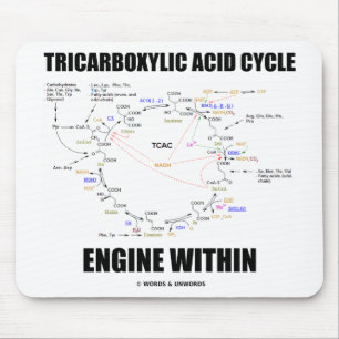 Tricarbonsäure-Zyklus-Motor innerhalb Krebs Zyklu Mousepad