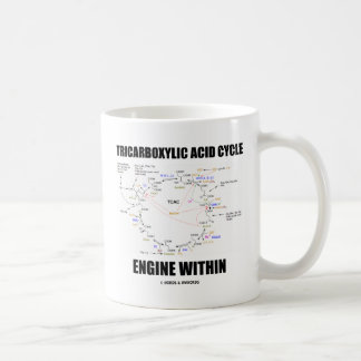 Tricarbonsäure-Zyklus-Motor innerhalb Krebs Zyklus Kaffeetasse