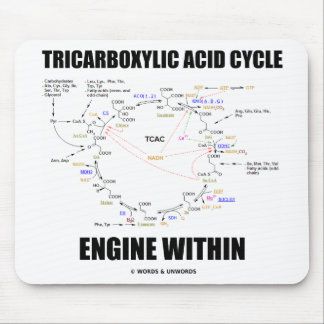 Tricarbonsäure-Zyklus-Motor innerhalb Krebs Zyklus Mousepad