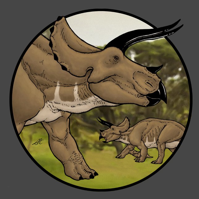 Triceratops #2 T-Shirt (Von Creator hochgeladen)