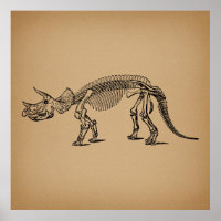 Triceratops Dinosaur Skeleton Prähistorische Kunst