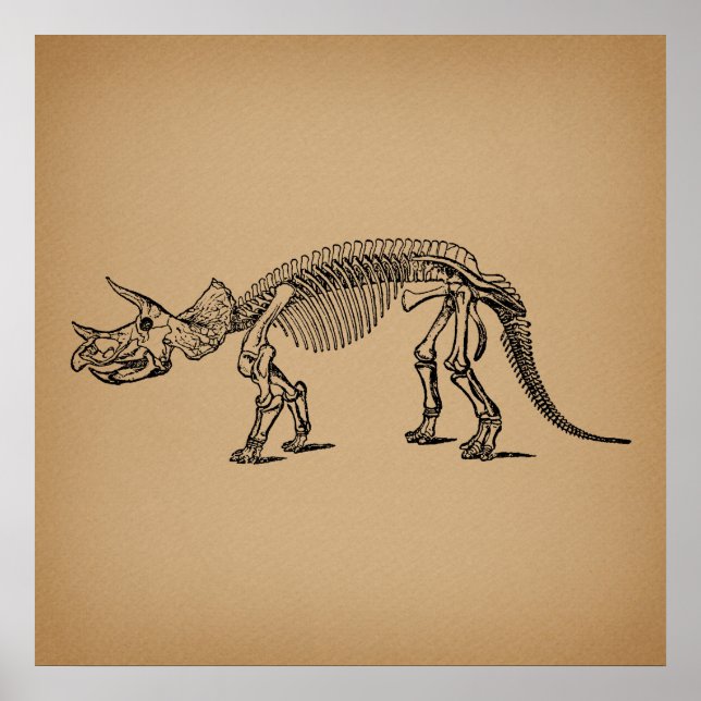 Triceratops Dinosaur Skeleton Prähistorische Kunst Poster (Vorne)