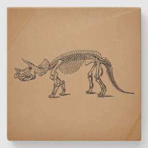 Triceratops Dinosaur Skeletts Steinuntersetzer