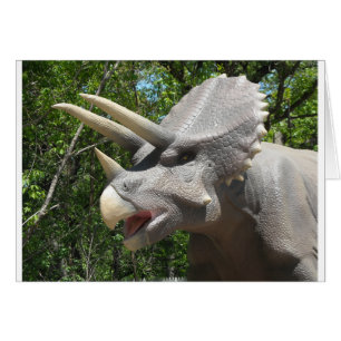 Triceratops dinosaurier