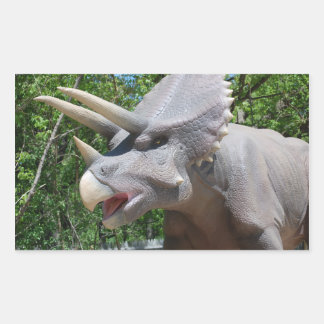 Triceratops Dinosaurier Rechteckiger Aufkleber