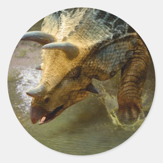 Triceratops Dinosaurier Rundsticker Runder Aufkleber (Vorderseite)