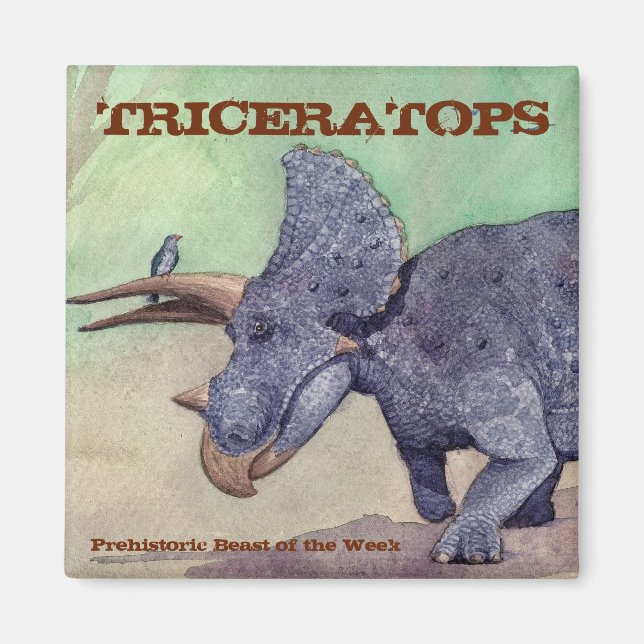 Triceratops Magnet (Vorne)