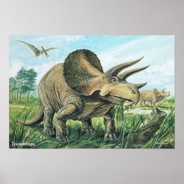 Triceratops Poster (Vorne)