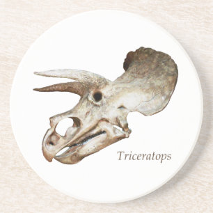 Triceratops-Schädel-Untersetzer Sandstein Untersetzer