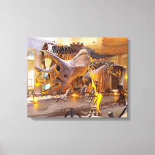 Triceratops-Skeleton Leinwand-Druck Leinwanddruck