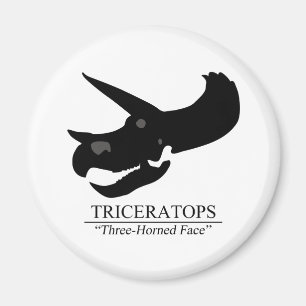 Triceratops Skull Magnet