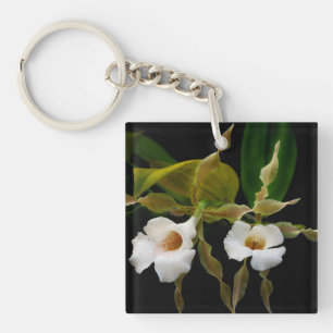 Trichopilia Tortilis Schlüsselanhänger