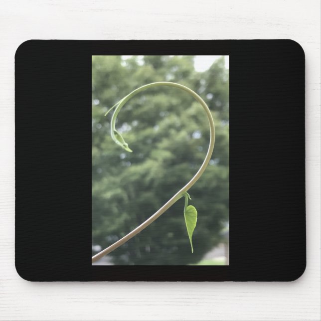 Trichterwindenranke und -blatt  mousepad (Vorne)