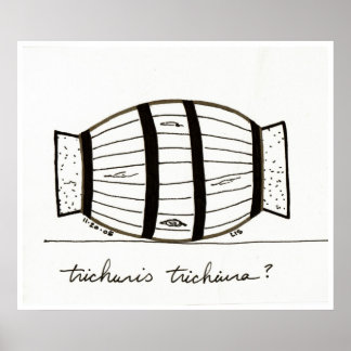 Trichuris-Trichiurie-Druck Poster