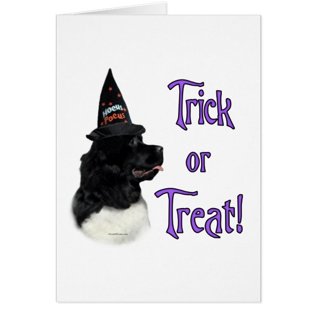 Trick für das Neufundland (Grundbesitzer) (Vorne)