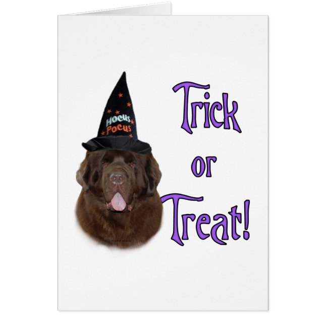 Trick für Neufundland (braun) (Vorne)