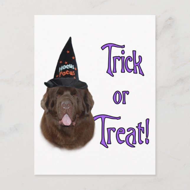 Trick für Neufundland (braun) Postkarte (Vorderseite)