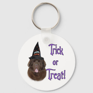 Trick für Neufundland (braun) Schlüsselanhänger