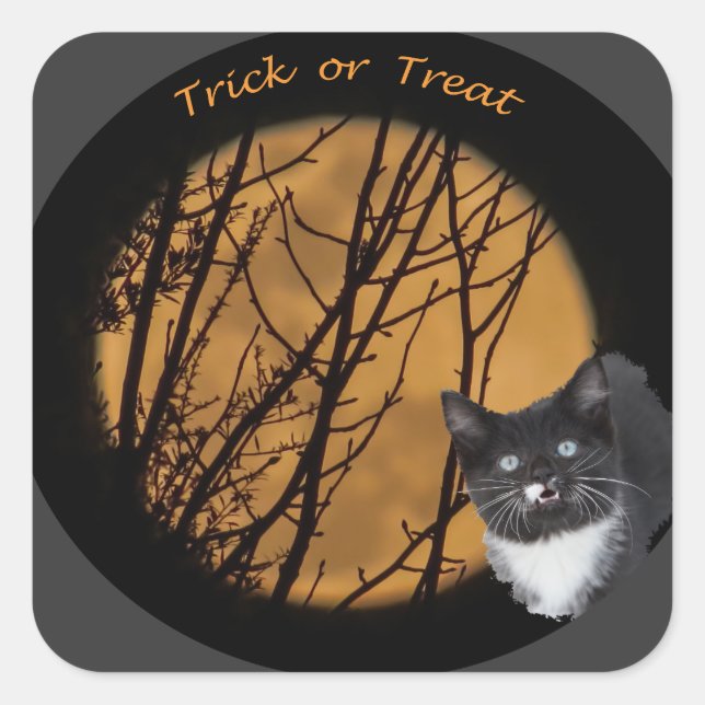 Trick oder behandeln schwarze Katze & Mond Hallowe Quadratischer Aufkleber (Vorderseite)