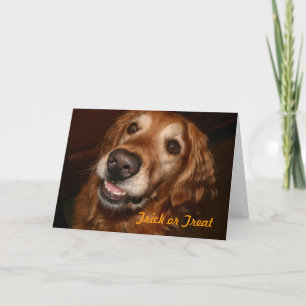 Trick-oder Leckerei-Hund Karte