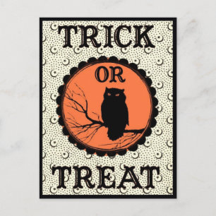Trick oder Treat Spooky Halloween Owl Postkarte