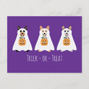 Trick or Treat Corgi Ghost Hunde Halloween Postkarte