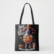 Trick or Treat Dog - Boo Crew Orange Black