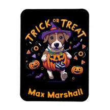 Trick or Treat Dog - Ghoul Gang Gelb Schwarz